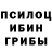 Галлюциногенные грибы мухоморы Bilguun Borkhuu