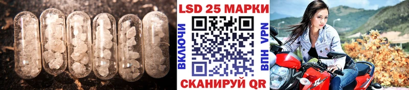 блэк спрут как зайти Зеленокумск Лсд 25 экстази кислота