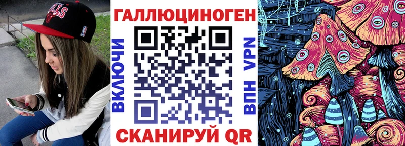 где найти наркотики  Зеленокумск  Галлюциногенные грибы Psilocybe 