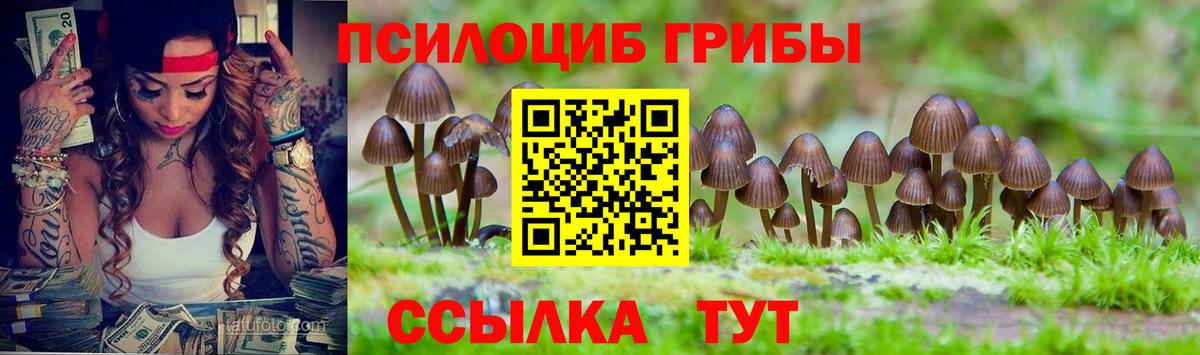 Псилоцибиновые грибы мухоморы  Вход с VPN  Зеленокумск 
